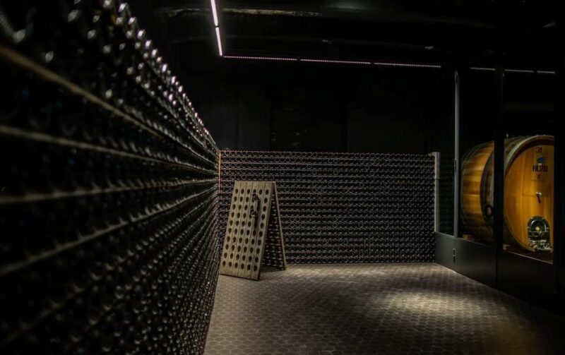 Wine Tasting and Winery Tour of Oltrepò Pavese Tradition - Engaging With Experts