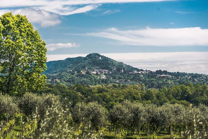 Wine Tasting Asolo Prosecco at Tenuta Baron - Key Points