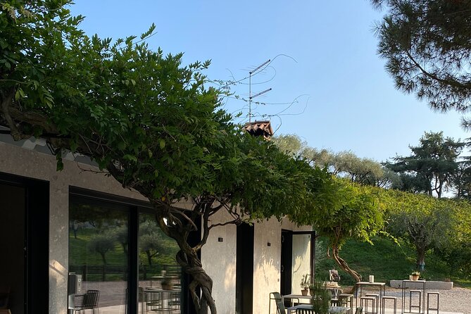 Wine Tasting Asolo Prosecco at Tenuta Baron - Customer Reviews and Ratings