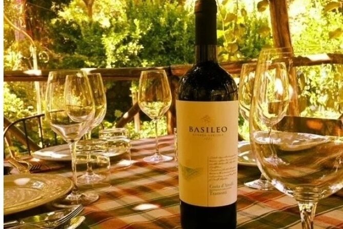 Wine Tasting at Basileo Cellar With Lunch - About Your Stay