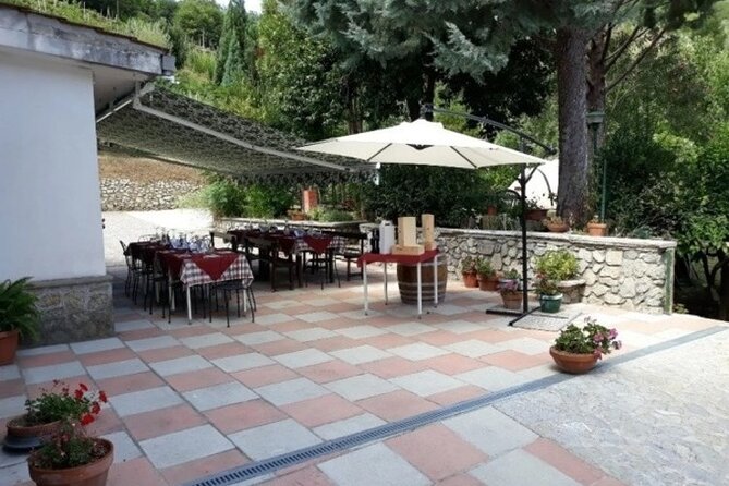 Wine Tasting at Basileo Cellar With Lunch - Exploring Basileo Cellar