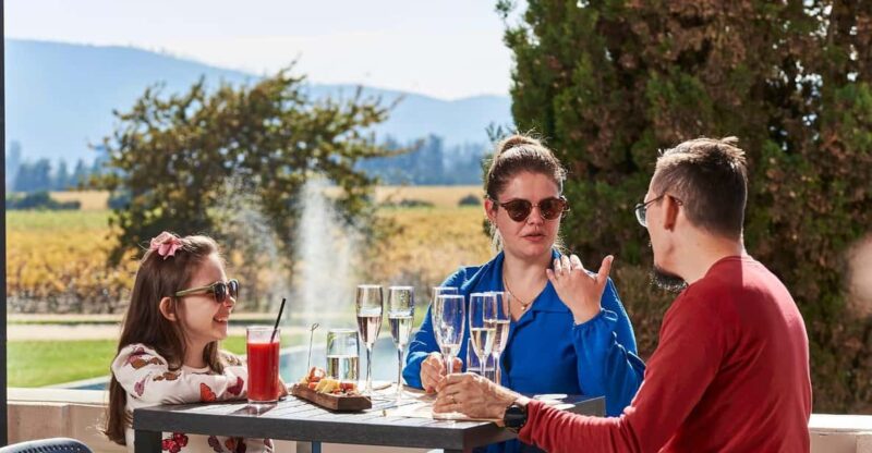 Wine Tasting at Casablanca - 4 Wineries and Lunch at Tanino - Pricing and Cancellation