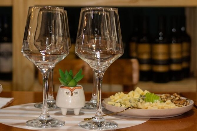 Wine Tasting at Downtown Buenos Aires Ego Experience - Key Points