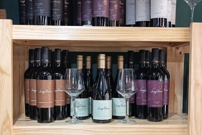 Wine Tasting at Downtown Buenos Aires Ego Experience - Sample Menu Highlights