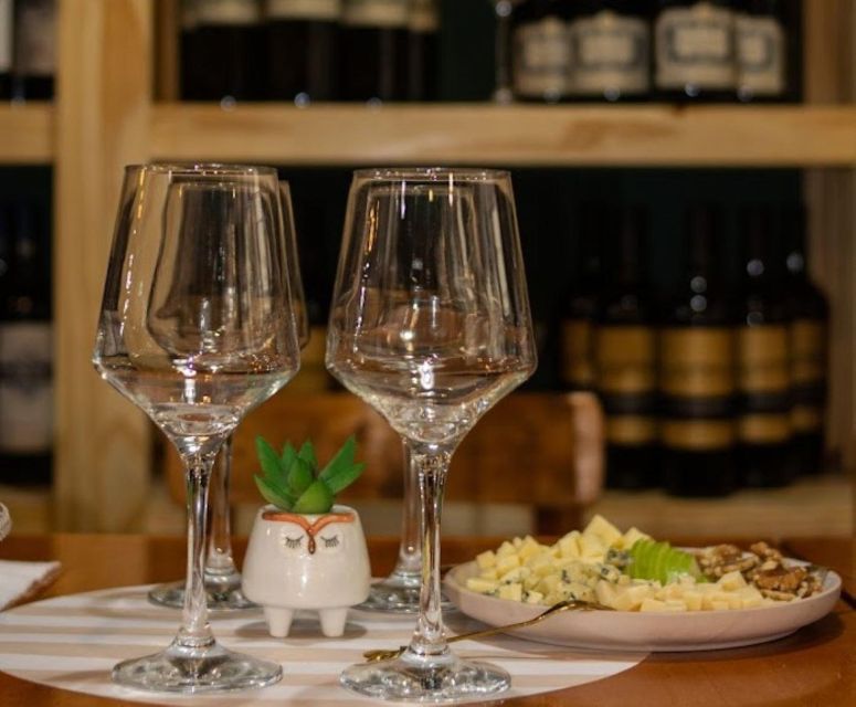 Wine Tasting at Downtown Buenos Aires, Ego Experience - Tasting Experience Highlights