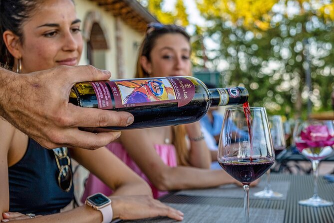 Wine Tasting at the Winery in the Panoramic Terrance - Immersive Tuscany Experience