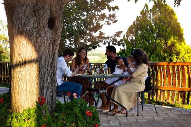 Wine Tasting at the Winery in the Panoramic Terrance - Exploring the Winery Property