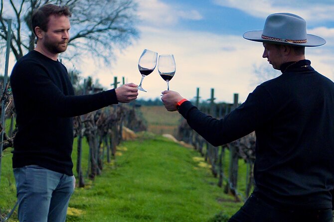 Wine Tasting Audio Tour - Amador County CA - Travelers Experiences and Reviews