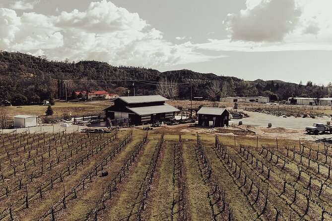 Wine Tasting Audio Tour - Calaveras County - Additional Experiences and Perks