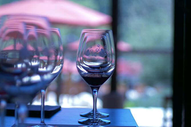 Wine Tasting Audio Tour - Paso Robles CA - Taste Wine Guides User Perks