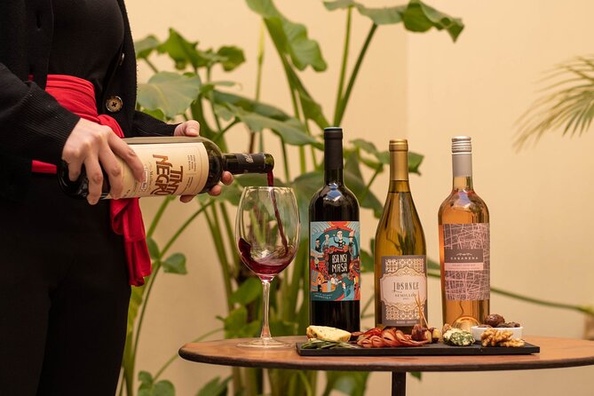 Wine Tasting Boutique in Buenos Aires - Key Points