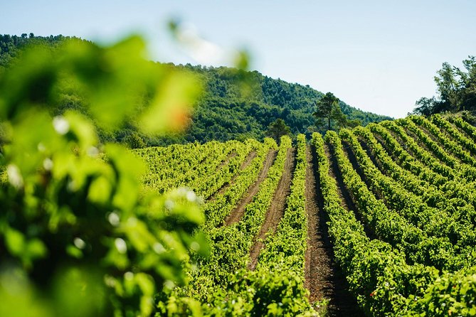 Wine Tasting, Cannes, Coco Chanel, Perfume Factory & Grasse - Uncovering the Perfume Factory