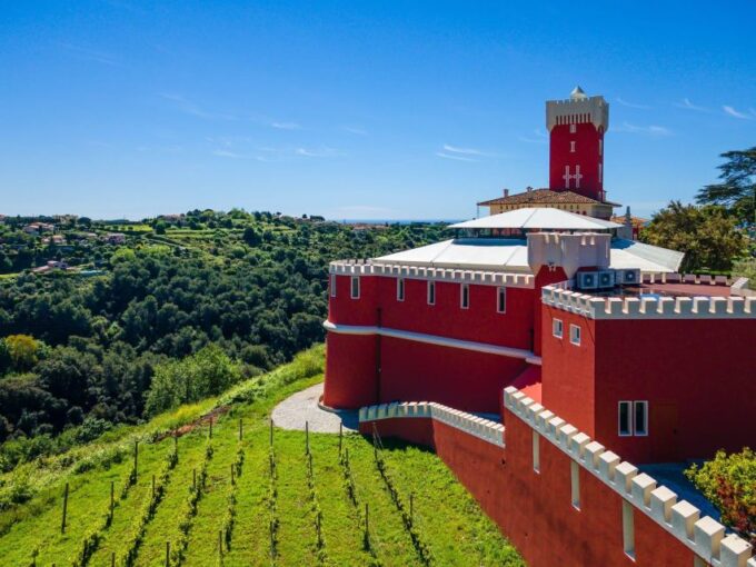 Wine Tasting, Cannes, Coco Chanel, Perfume Factory & Grasse - Highlights of the Itinerary