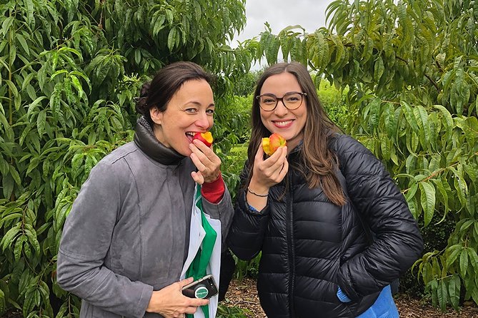 Wine Tasting, Cape Dutch Farm and Art Day Tour From Cape Town - Inclusions