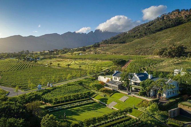 Wine Tasting, Cape Dutch Farm and Art Day Tour From Cape Town - Local Chocolates, Craft Beer, and Wine