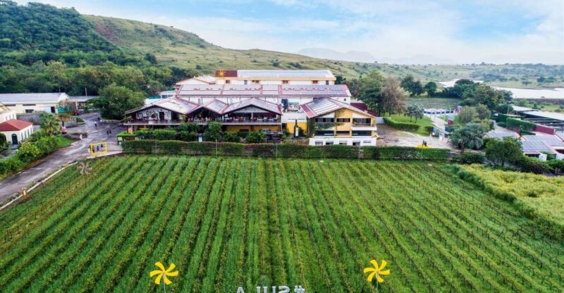 Wine Tasting Day Tour Sula Vineyards Nashik From Mumbai - Cancellation Policy