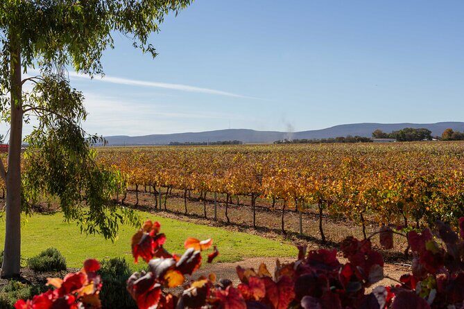 Wine Tasting Experience - The Wines and the Value