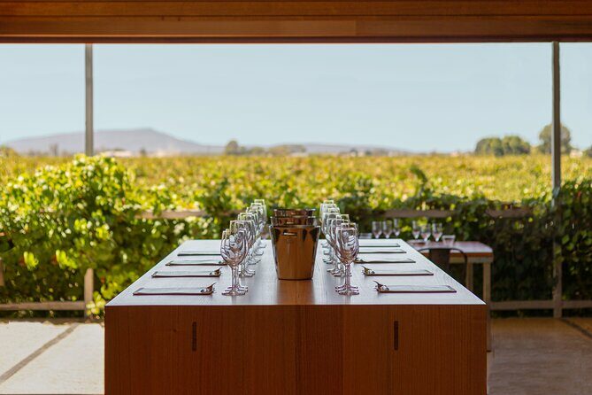 Wine Tasting Experience - Who Would Enjoy This Tour?