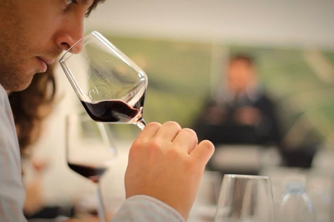 Wine Tasting Experience at the Organic Winery in ŠIšAn - Organic Farming and Winemaking