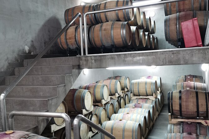 Wine Tasting Experience at the Organic Winery in ŠIšAn - Guided Tour by Enologist