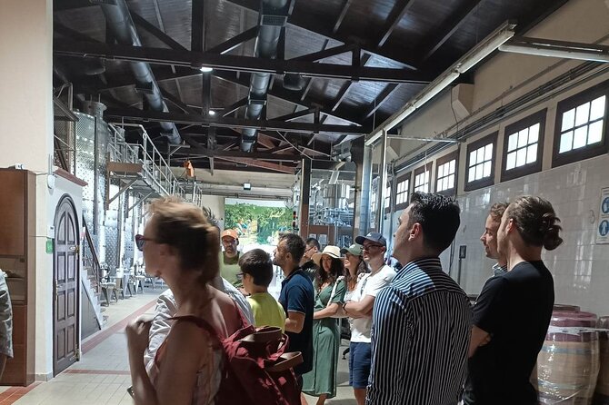 Wine Tasting Experience From Thessaloniki - Inclusions and Amenities