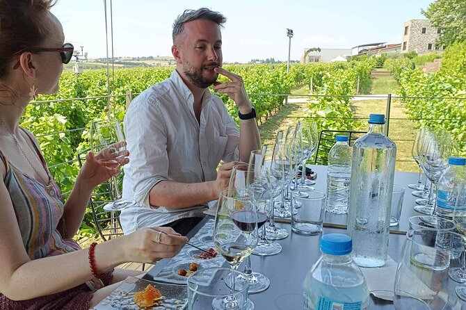 Wine Tasting Experience From Thessaloniki - Traveler Reviews and Feedback