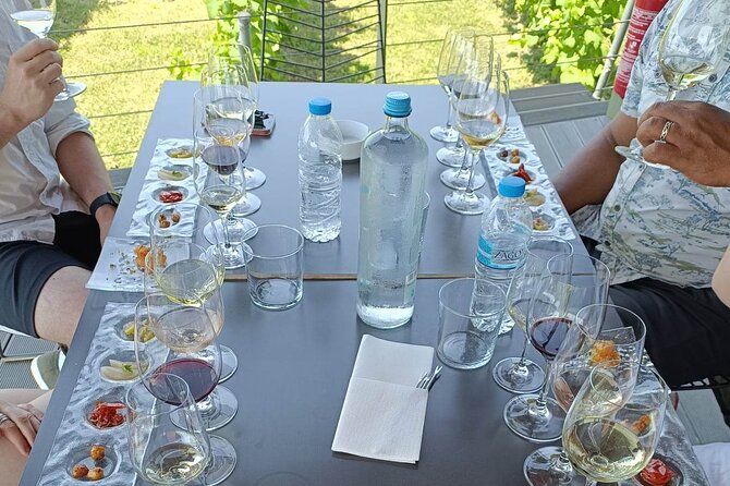 Wine Tasting Experience From Thessaloniki - Journey to the Winery