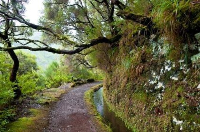 Wine Tasting Experience in Boaventura, Madeira North Coast - Integrated Sustainability and Nature