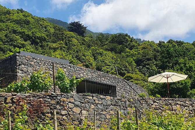 Wine Tasting Experience in Boaventura, Madeira North Coast - Winery Architecture and Ambiance
