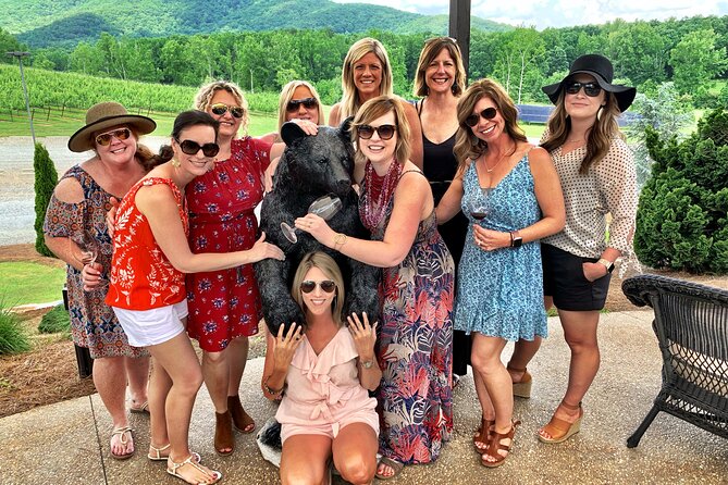 Wine Tasting Experience in Georgia - Meeting and Pickup Details