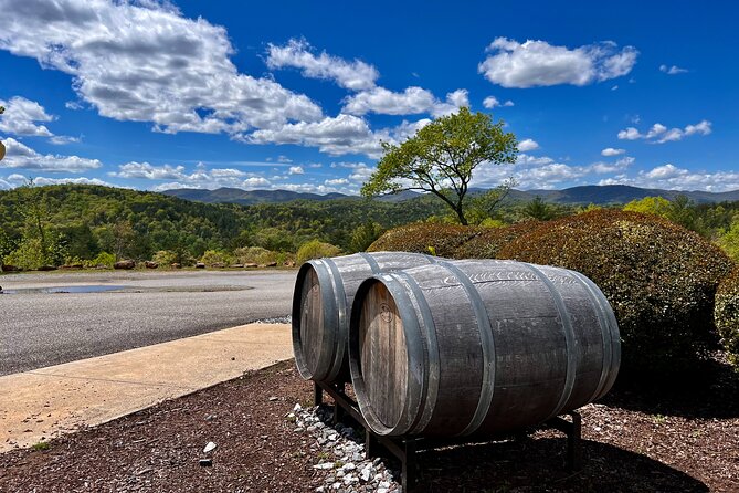 Wine Tasting Experience in Georgia - Amenities and Services