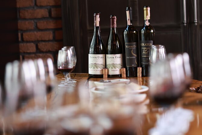 Wine Tasting Experience in Istanbul - Meeting and Pickup Information