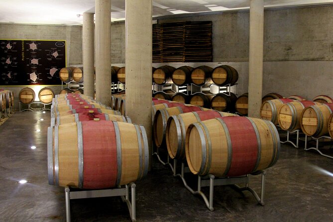 Wine Tasting Experience in Oltrepò - Savoring the Scenic Hill Views