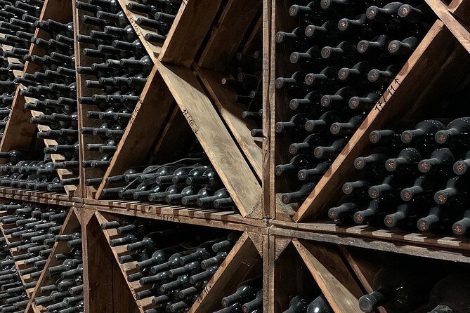 Wine Tasting Experience in the Apulian Countryside - Accessibility and Confirmation