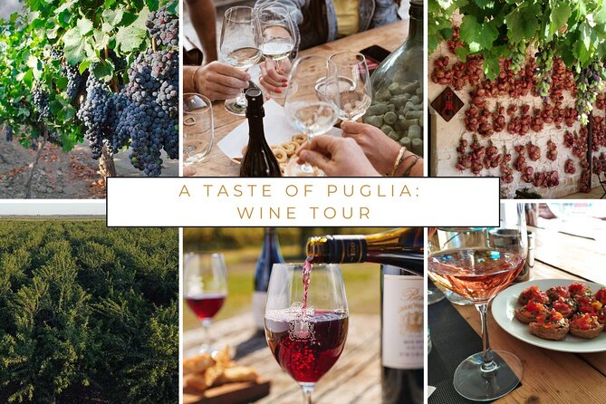 Wine Tasting Experience in the Apulian Countryside - Planning Your Wine Tasting Adventure