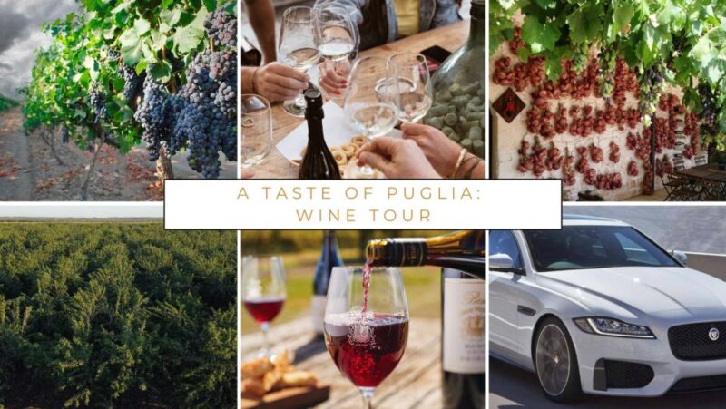 Wine Tasting Experience in the Apulian Countryside! - Itinerary Details