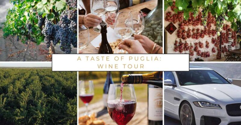 Wine Tasting Experience in the Apulian Countryside! - Pricing and Booking