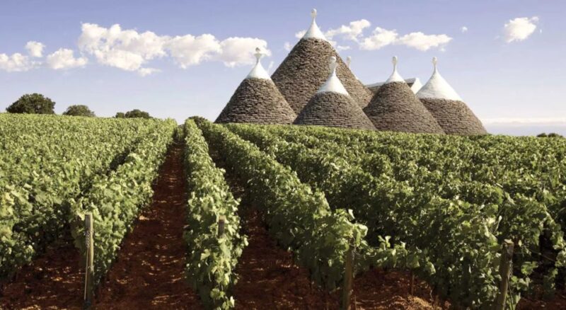 Wine Tasting Experience in the Apulian Countryside! - Local Cuisine Highlights