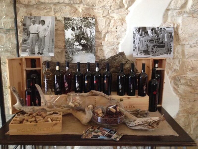 Wine Tasting Experience in the Apulian Countryside! - Accessibility and Flexibility
