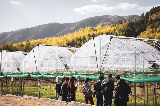 Wine Tasting Experience in Yamaga - Discover Kumamoto Prefectures Wine Culture