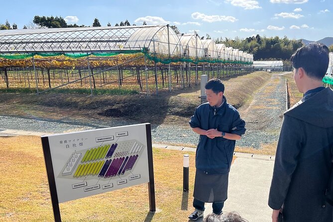 Wine Tasting Experience in Yamaga - Accessibility and Pregnancy Restrictions