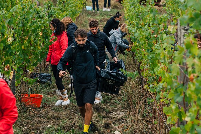 Wine Tasting Experience Near Florence - Booking Flexibility