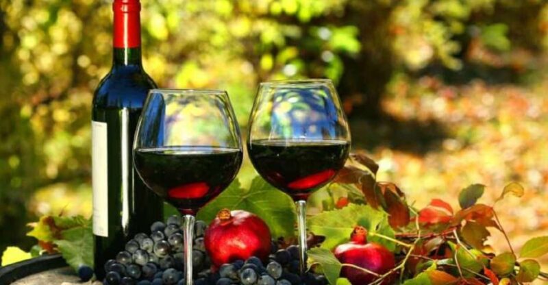 Wine Tasting Experience on the Slopes of Vesuvius - Itinerary and Activities