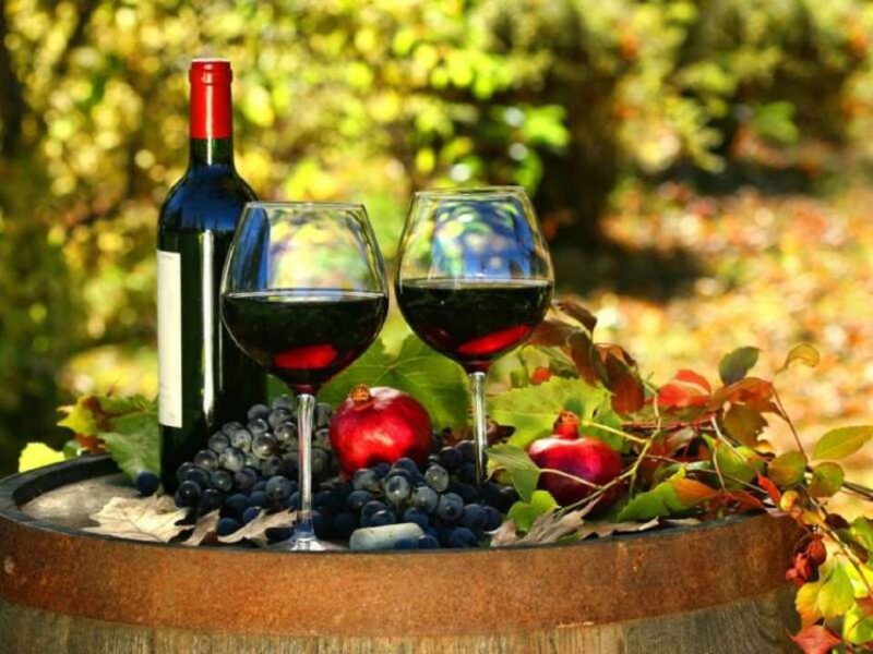 Wine Tasting Experience on the Slopes of Vesuvius - Customer Feedback