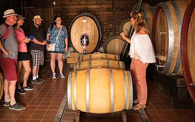 Wine Tasting Experience on the Slopes of Vesuvius - Tour Duration