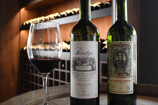 Wine Tasting Experience With Tasting Menu - Accessibility and Inclusions