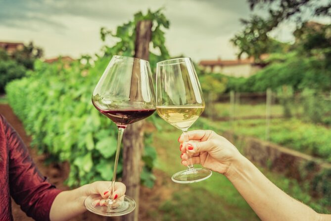 Wine Tasting for Small Groups in the Palermo Countryside - Inclusions and Exclusions