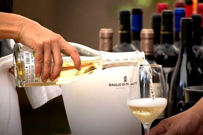 Wine Tasting for Small Groups in the Palermo Countryside - Highlights From Reviews