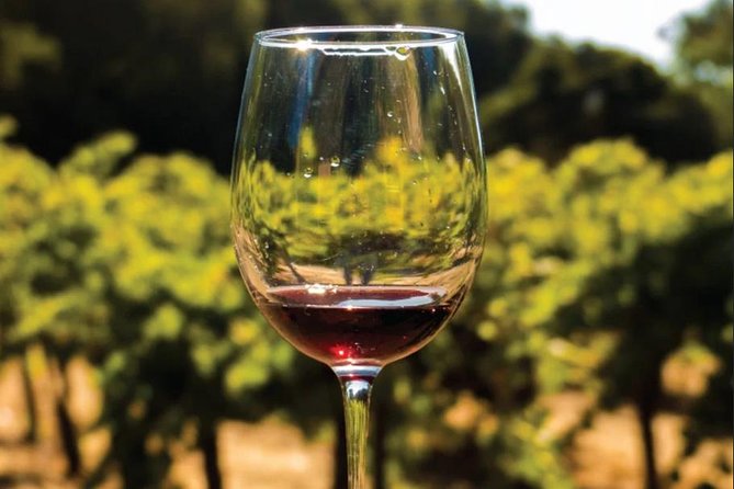 Wine Tasting: Full-Day Wine Tour in Kakheti (ALL INCLUSIVE) - Accessibility
