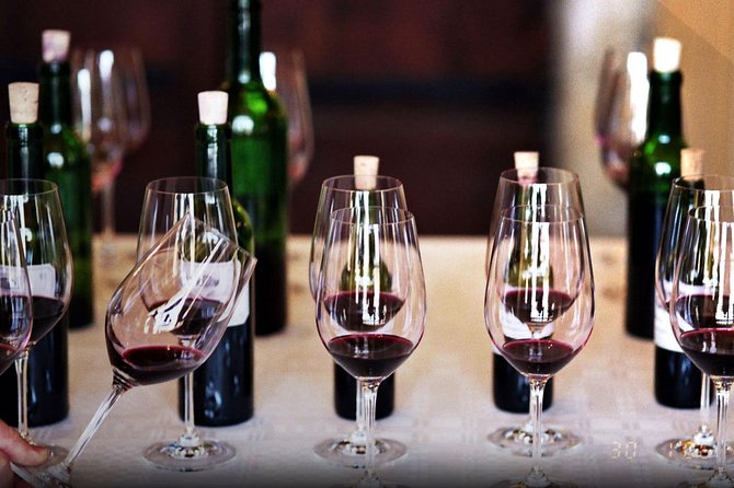 Wine Tasting: Full-Day Wine Tour in Kakheti (ALL INCLUSIVE) - Cancellation Policy